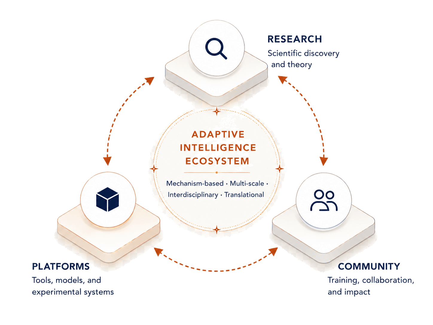 Ecosystem diagram