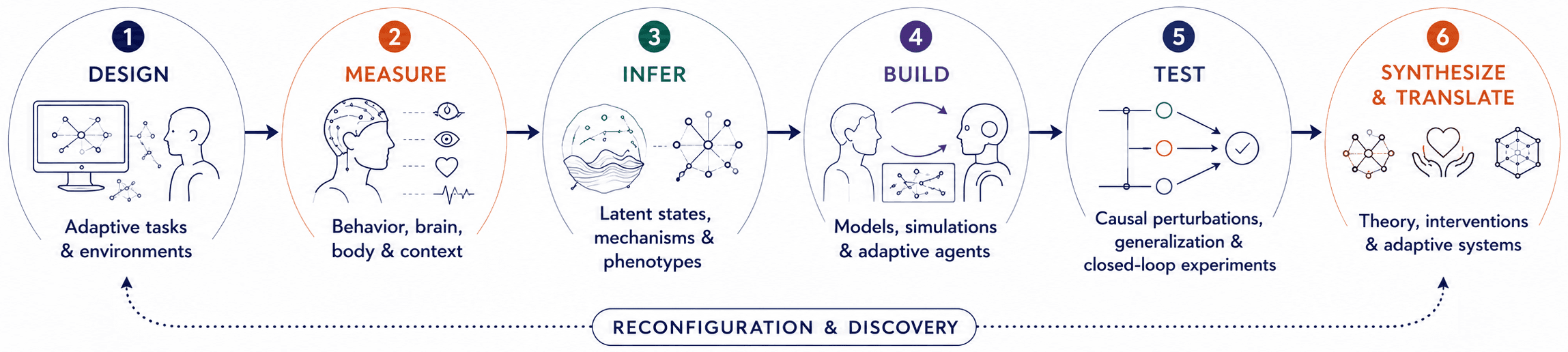 Approach overview — Design adaptive experiments; Measure behavior, brain, body, and context; Infer latent states, mechanisms and phenotypes; Build models, simulations and adaptive agents; Test via causal perturbations, generalization and closed-loop experiments; Synthesize & Translate into theory, interventions and adaptive systems; with a reconfiguration and discovery loop